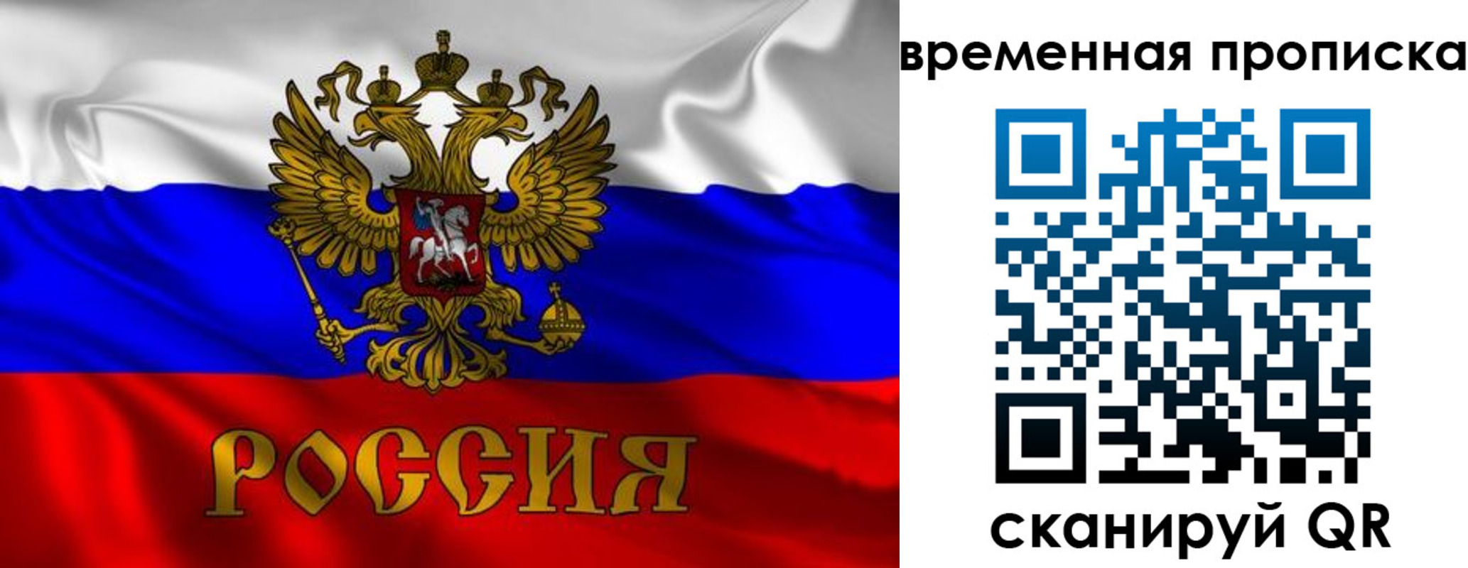 прописка законно в Сафоново
